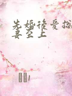 先婚后爱总裁宠妻至上