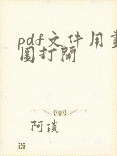 pdf文件用画图打开
