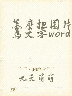 怎么把图片转化为文字word文档