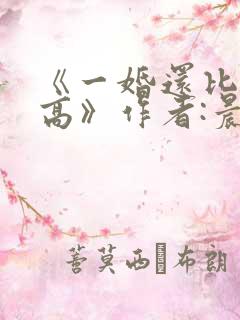《一婚还比一婚高》作者:晨雾的光