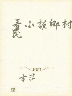 看小说乡村小农民