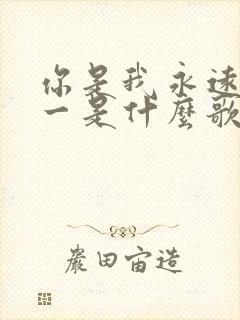 你是我永远的唯一是什么歌的歌词