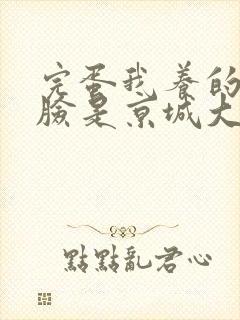 完蛋我养的小白脸是京城大佬短剧