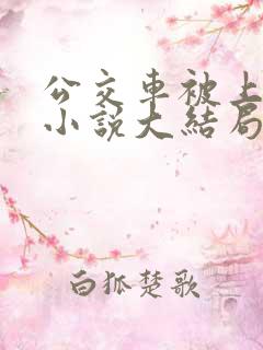 公交车被上高潮小说大结局