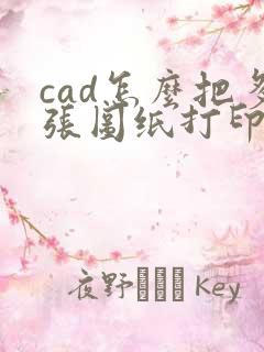 cad怎么把多张图纸打印一个pdf