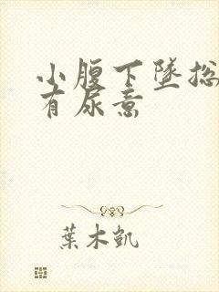 小腹下坠总感觉有尿意