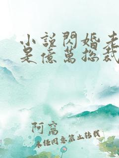 小说闪婚老公竟是亿万总裁,