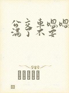 公交车嗯嗯啊啊满了不要