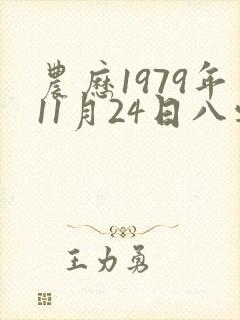 农历1979年11月24日八字