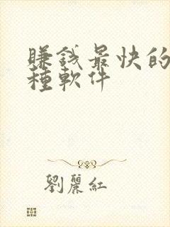 赚钱最快的是哪种软件