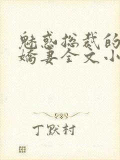 魅惑总裁的私有娇妻全文小说阅读全文