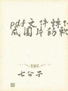 pdf文件转化成图片的软件