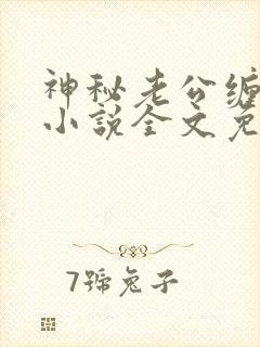 神秘老公缠上我小说全文免费阅读
