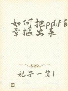 如何把pdf的章抠出来