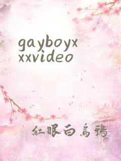 gayboyxxxvideo