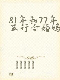 81年和77年五行合婚吗