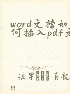 word文档如何插入pdf文件