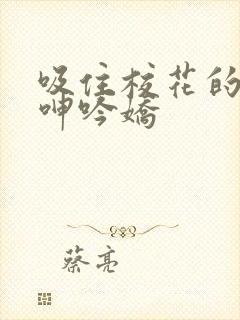 吸住校花的奶头呻吟娇