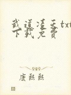武道凌天txt下载免费