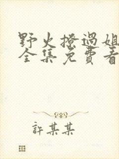野火撩过姐姐心全集免费看