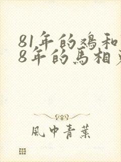 81年的鸡和78年的马相克嘛