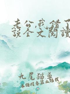 老公,我错了小说全文阅读