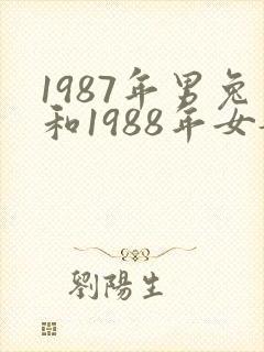 1987年男兔和1988年女龙姻缘如何