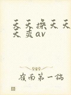 天天操天天干天天爽av