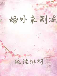 婚外未删减电影