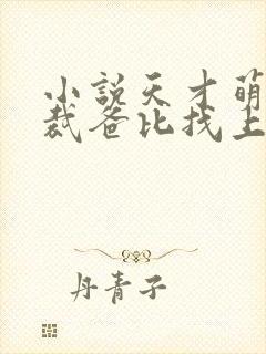 小说天才萌宝总裁爸比找上门