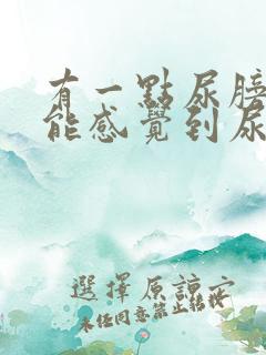 有一点尿膀胱就能感觉到尿意