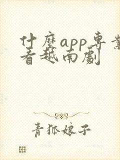 什么app专业看越南剧