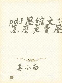 pdf压缩文件怎么免费压缩最小