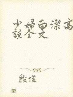 少妇白洁高义小说全文