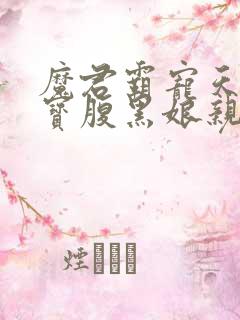 魔君霸宠天才萌宝腹黑娘亲