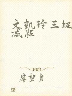 文凯玲三级无删减版