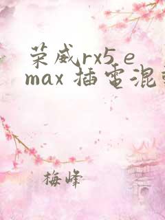 荣威rx5 emax 插电混动价格