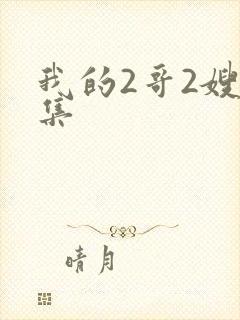我的2哥2嫂全集