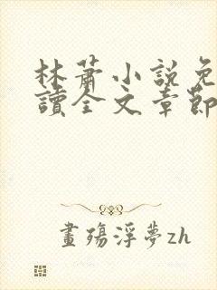 林萧小说免费阅读全文章节