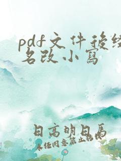 pdf文件后缀名改小写
