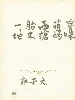 一胎两萌宝:爹地又抢妈咪连载