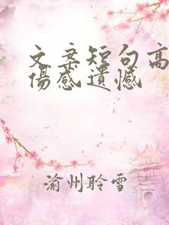 文案短句高质量伤感遗憾