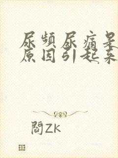 尿频尿痛是什么原因引起来的