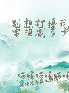 别想打扰我学习电视剧多少集