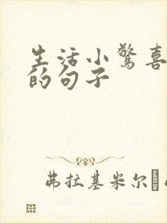 生活小惊喜唯美的句子