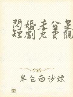 闪婚老公是大佬短剧免费观看