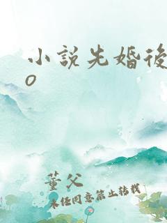 小说先婚后爱po
