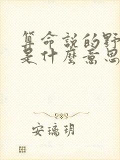算命说的野桃花是什么意思