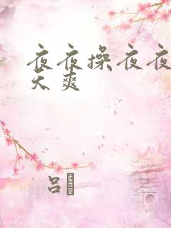 夜夜操夜夜爽天天爽