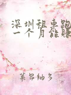 深圳租车跑滴滴一个月能赚多少